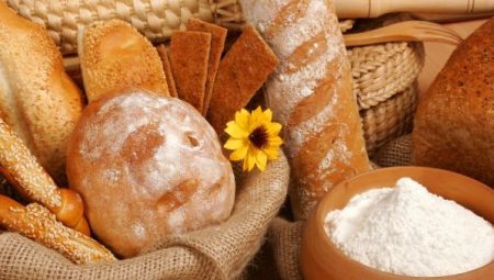 Astro Palace Foodrinks 1