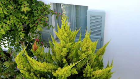 Astro Palace Hotel 21