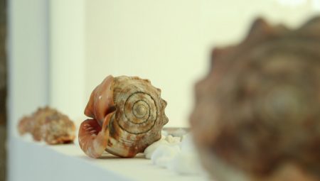 Astro Palace Hotel 24