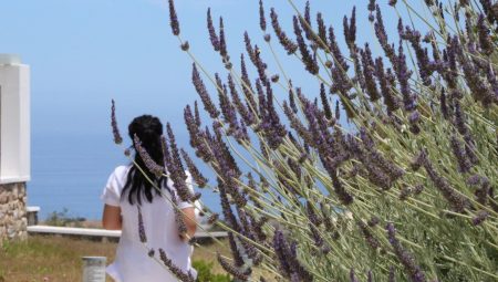 Astro Palace Hotel 27